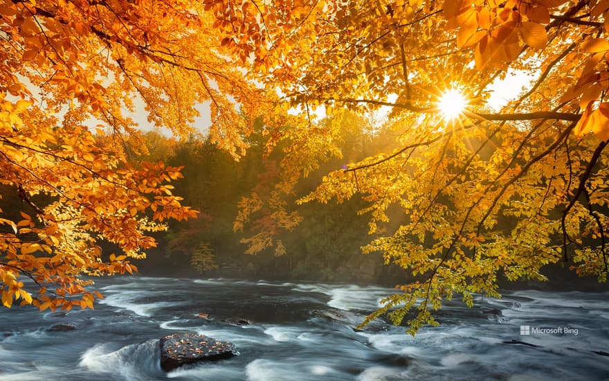 River rapids in Algonquin Provincial Park, Ontario