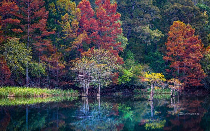 Beavers Bend Resort Park, Oklahoma, USA