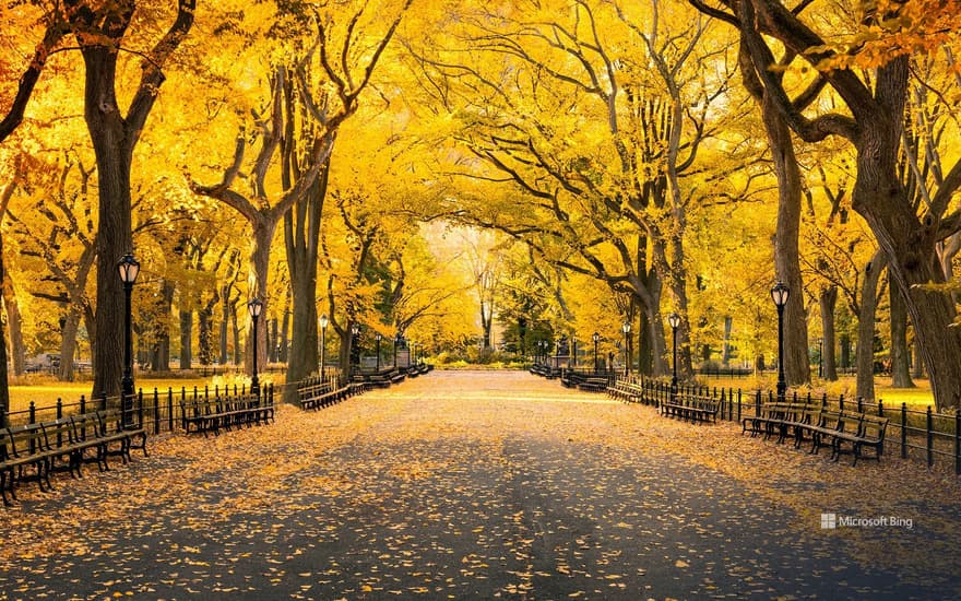 Autumn in Central Park, Manhattan, New York, USA