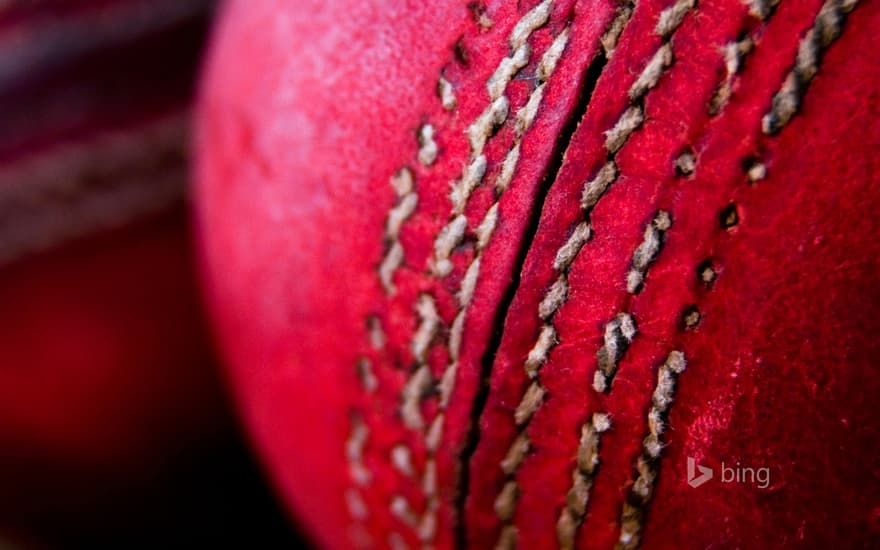 Cricket balls