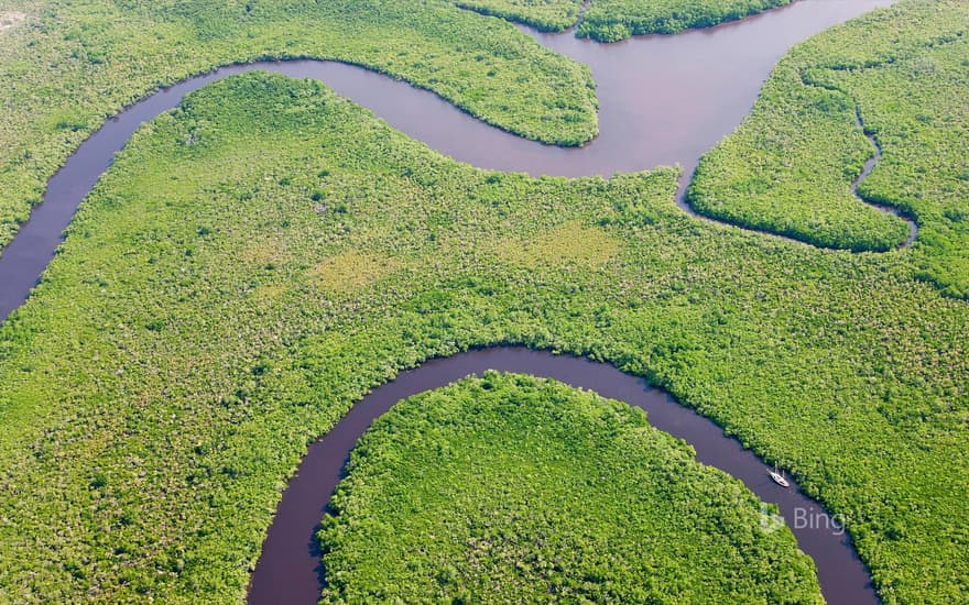 Aerial view of Daintree River and rainforest, Australia