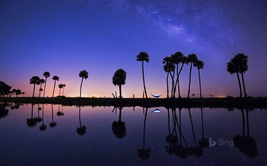 Hammock camping on the Econlockhatchee River in Florida, USA