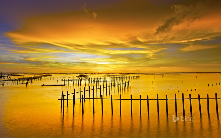 Cigu Lagoon at Tainan, Taiwan