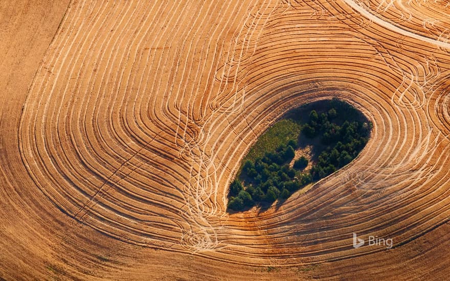 Farmland in Washington state's Palouse region