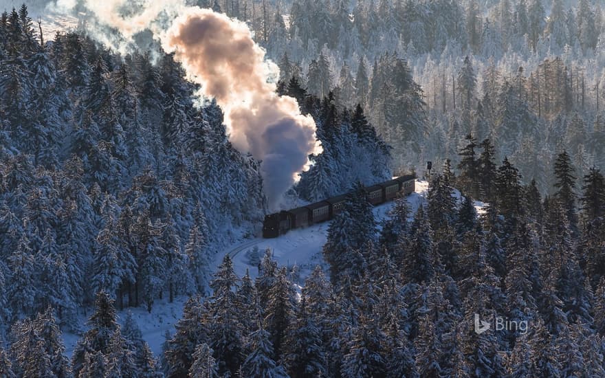 Harz Narrow Gauge Railway, Brocken, Harz National Park, Saxony-Anhalt, Germany