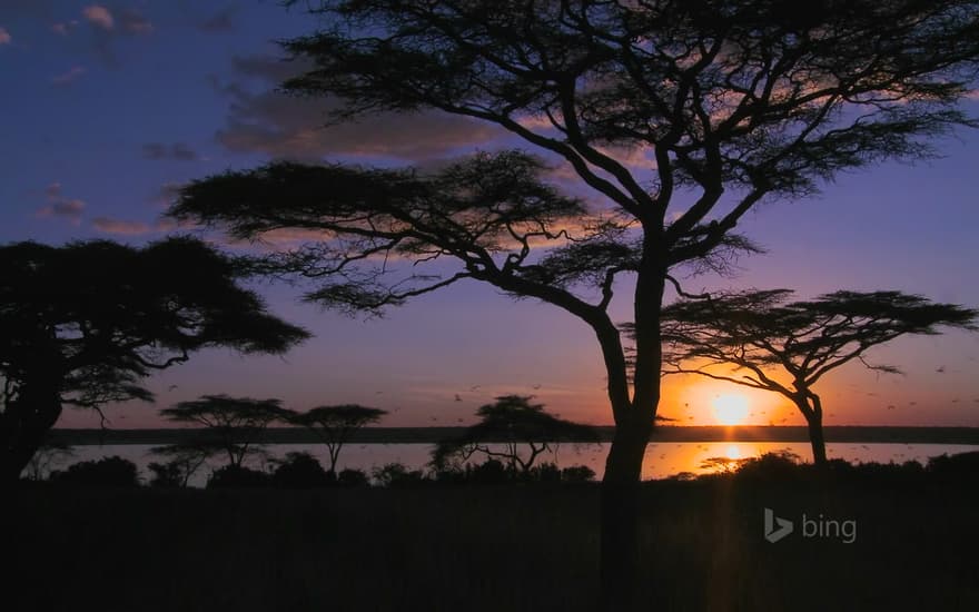 Lake Amboseli, Amboseli National Park, Kenya