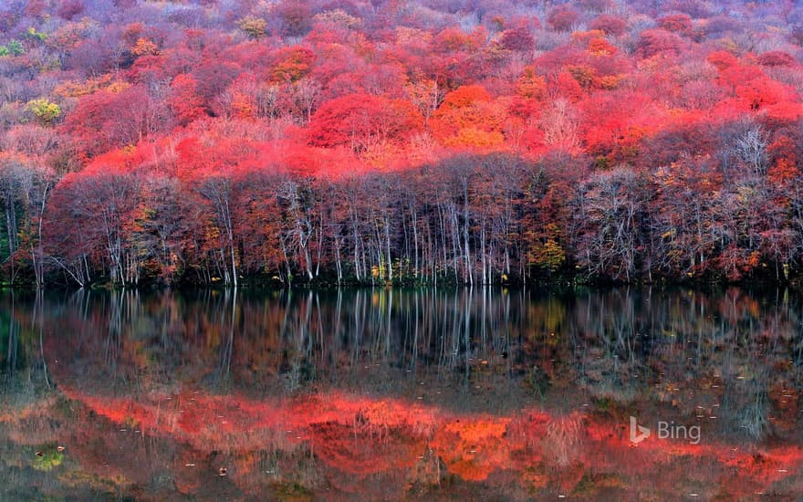 Late autumn in Aomori, Japan