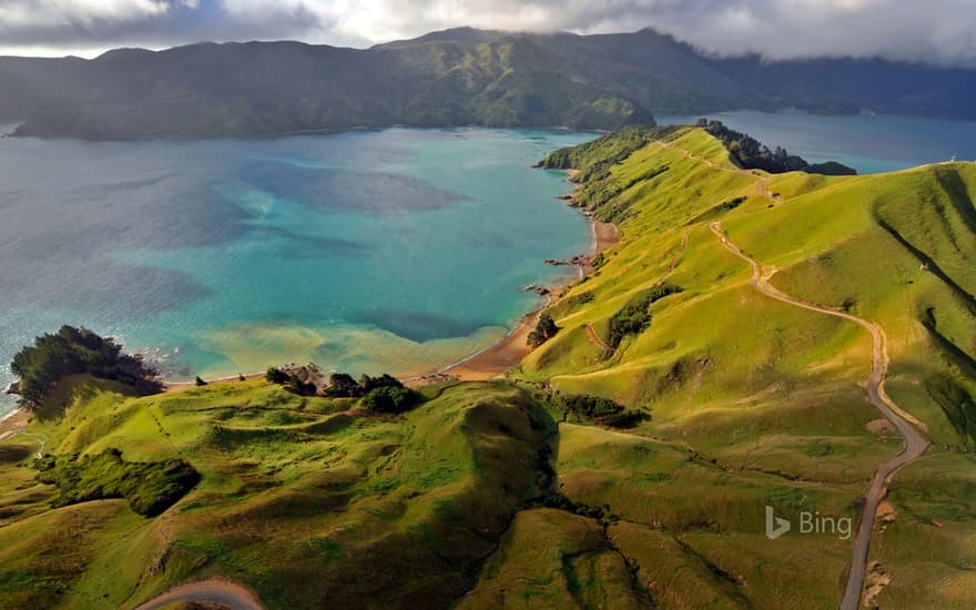 Aerial view of Marlborough Sounds, New Zealand