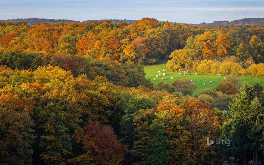 Roche d'Oëtre in Norman Switzerland, Calvados, Normandy, France