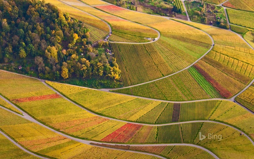 Vineyards at Rotenberg in Baden-Württemberg, Germany