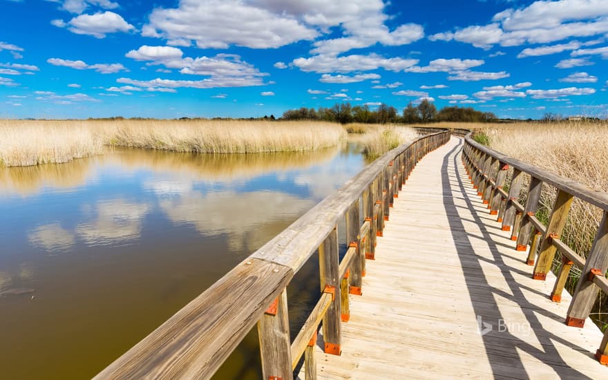 Bridge over Las Tablas de Daimiel National Park wetland, Ciudad Real, Spain