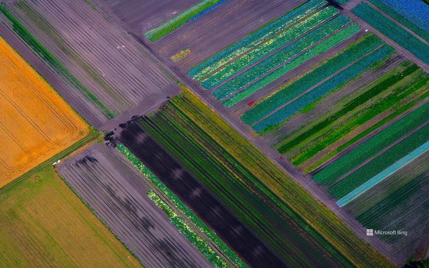 View of fields, aerial view, Bavaria